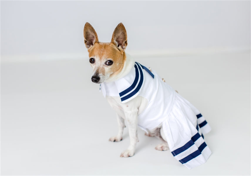 Parisian Pet Sailor Dress Dog & Cat Shirt  Nautical Pet Apparel, Stylish & Comfortable  White & Blue