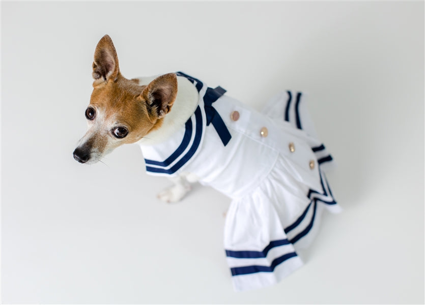 Parisian Pet Sailor Dress Dog & Cat Shirt  Nautical Pet Apparel, Stylish & Comfortable  White & Blue