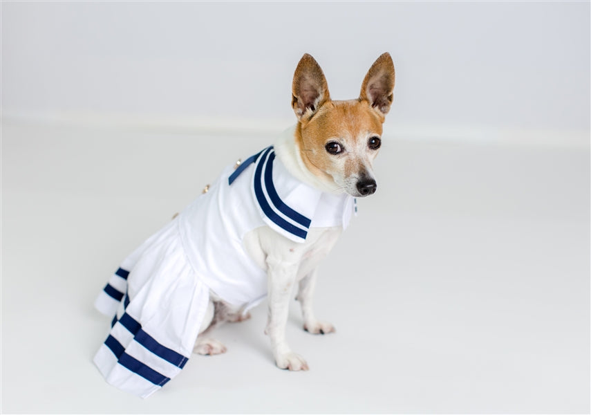 Parisian Pet Sailor Dress Dog & Cat Shirt  Nautical Pet Apparel, Stylish & Comfortable  White & Blue