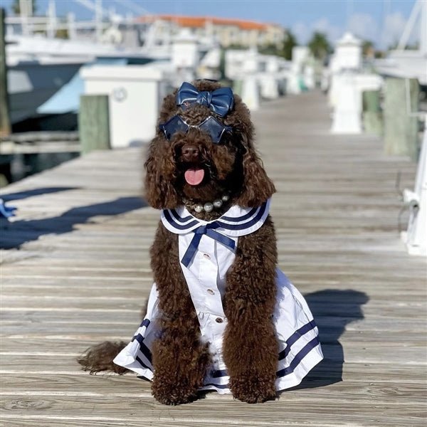 Parisian Pet Sailor Dress Dog T-Shirt-White & Blue