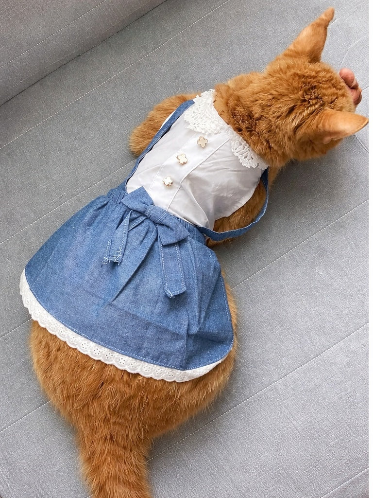 Parisian Pet Chambray Overall Dress-Blue
