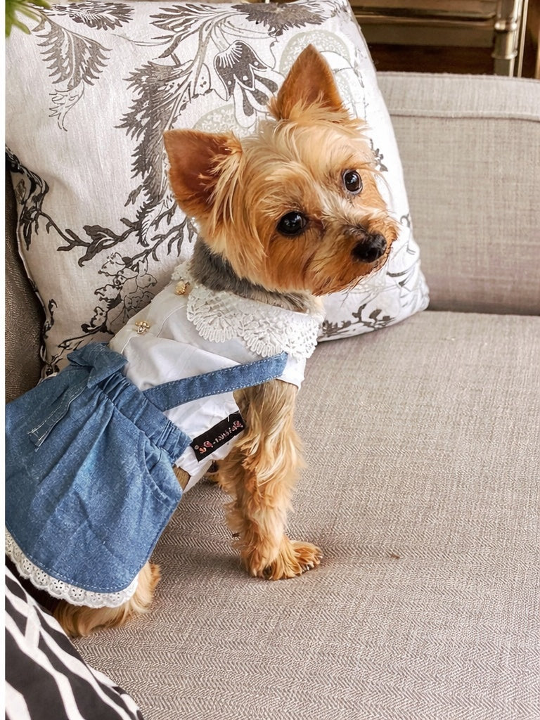 Parisian Pet Chambray Overall Dress-Blue