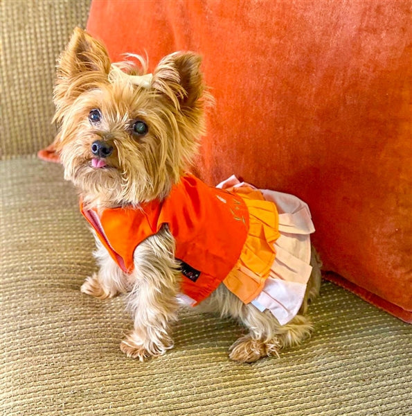 Parisian Pet Color Block Garden Dress for Dogs and Cats, Comfortable and Stylish, Summer Outfit, Orange