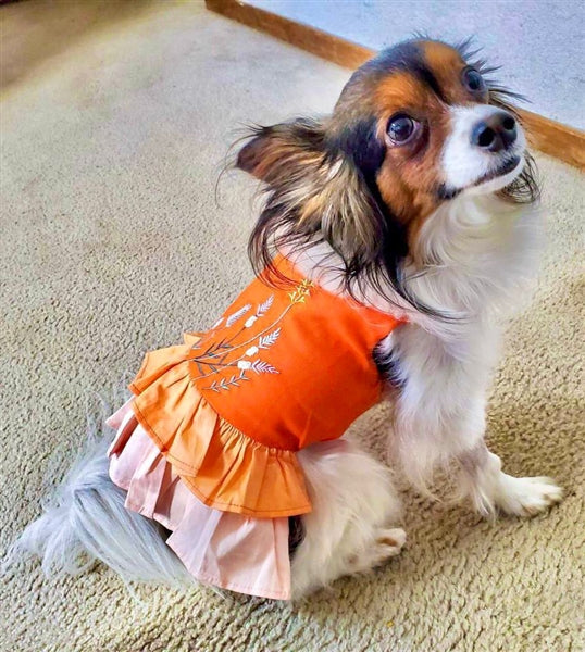 Parisian Pet Color Block Garden Dress-Orange
