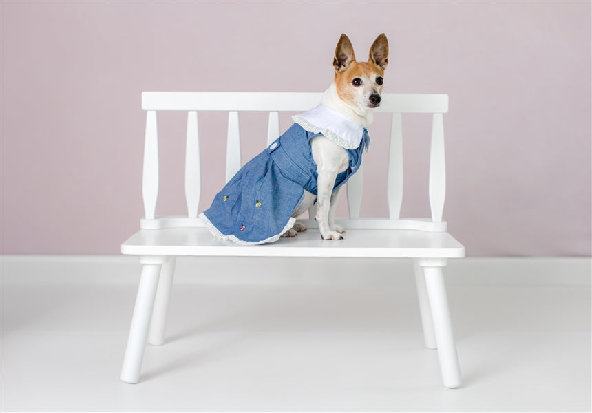 Parisian Pet Prairie Dress-Denim & White