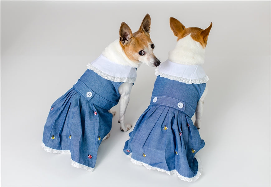 Parisian Pet Prairie Dress for Dogs and Cats, Floral Design, Comfortable Lightweight Outfit, Denim & White