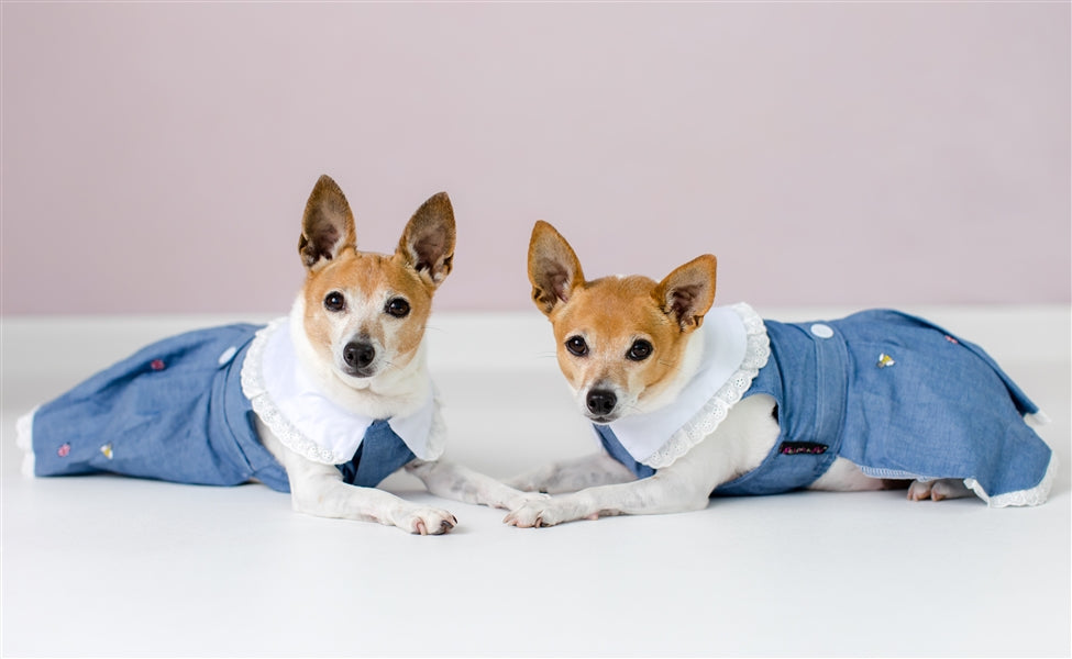 Parisian Pet Prairie Dress for Dogs and Cats, Floral Design, Comfortable Lightweight Outfit, Denim & White