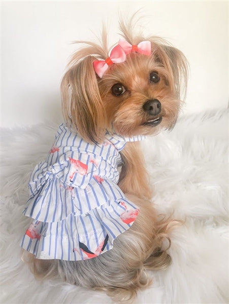 Parisian Pet Flamingo Print Dog Dress-Blue & White Stripes