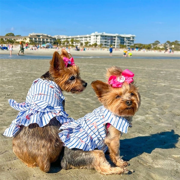 Parisian Pet Flamingo Print Dog Dress-Blue & White Stripes