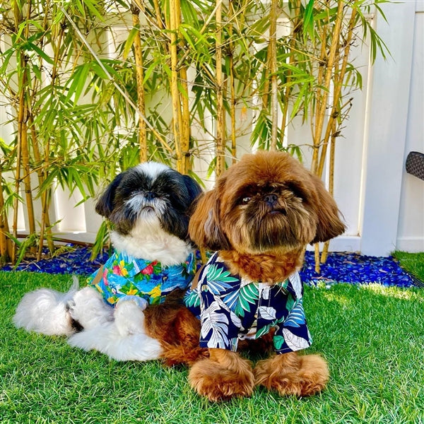 Parisian Pet Palm Leaves Dog & Cat T-Shirt  Trendy Tropical Summer Pet Clothing, Comfortable & Lightweight - Blue & White