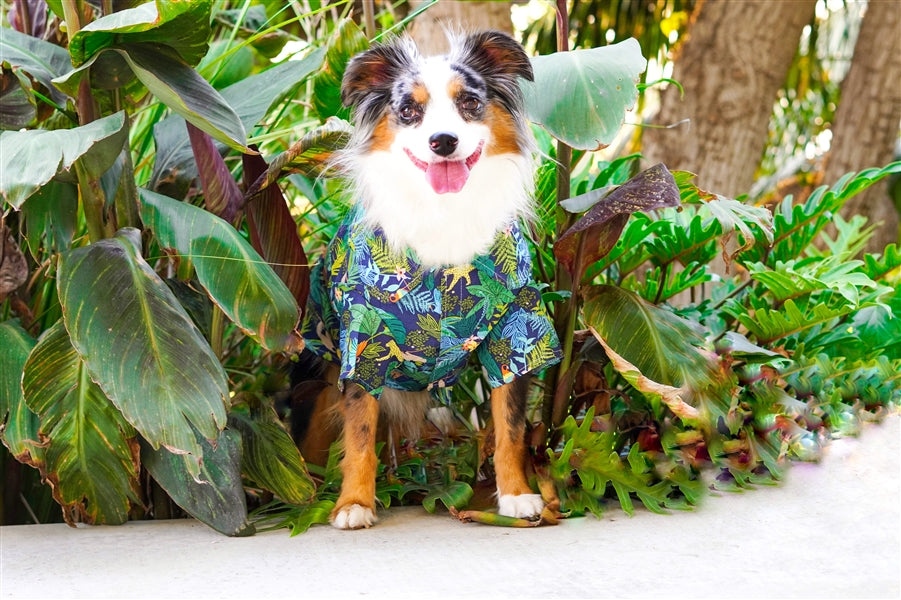 Parisian Pet Amazonia Dog T-Shirt