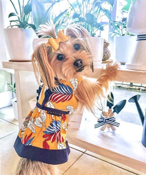 Parisian Pet Designer Dog Dress for Dogs and Cats, Leaf Pattern, Lightweight Summer Outfit, Multicolor, Yellow, White, Blue, Red