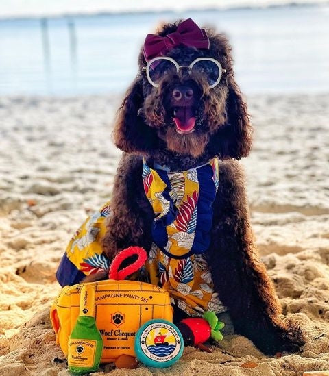 Parisian Pet Designer Dog Dress for Dogs and Cats, Leaf Pattern, Lightweight Summer Outfit, Multicolor, Yellow, White, Blue, Red