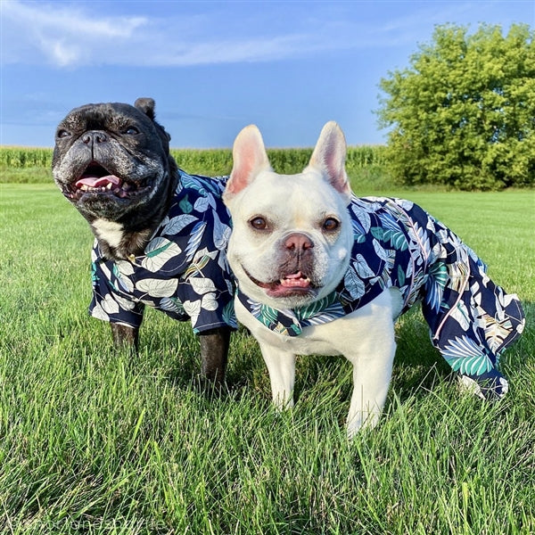 Parisian Pet Palm Leaves Dress Dog T-Shirt-Green, White