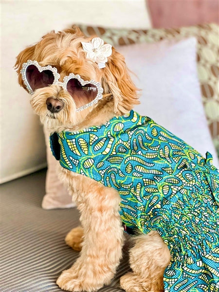 Parisian Pet Tribal Dress for Dogs and Cats, Ruched Waist, Stylish and Comfortable, Tribal Print - Green, Blue, Yellow