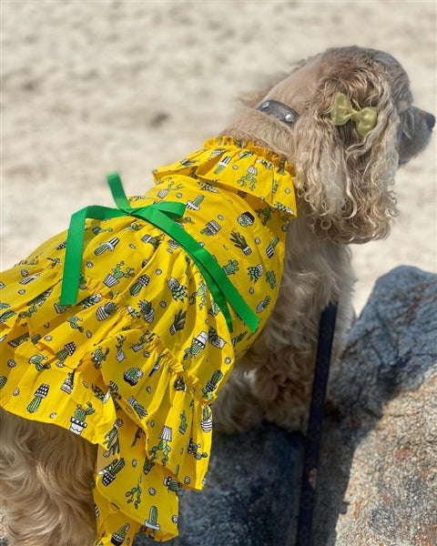 Parisian Pet Cactus Tiered Dress Dog & Cat Shirt  Tropical Summer Outfit  Yellow