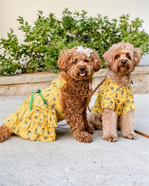 Parisian Pet Cactus Camp Dog & Cat Shirt  Trendy Embroidered Tropical Pet Apparel, Lightweight & Comfortable  Yellow