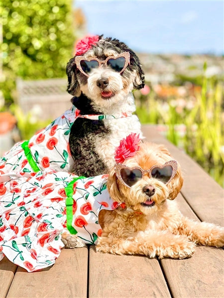 Parisian Pet Red Poppies Boho Dress Dog T-Shirt-Red, White, Green