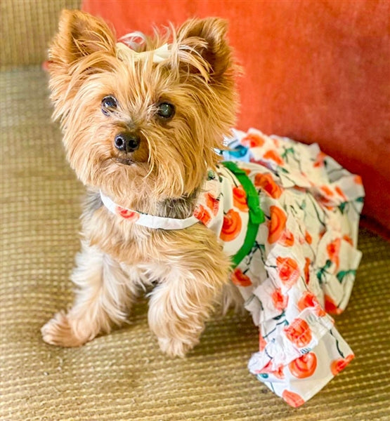 Parisian Pet Red Poppies Boho Dress Dog & Cat T-shirt  Adjustable Floral Pet Dress, Perfect for Summer - Red, White, Green-Valentines Day