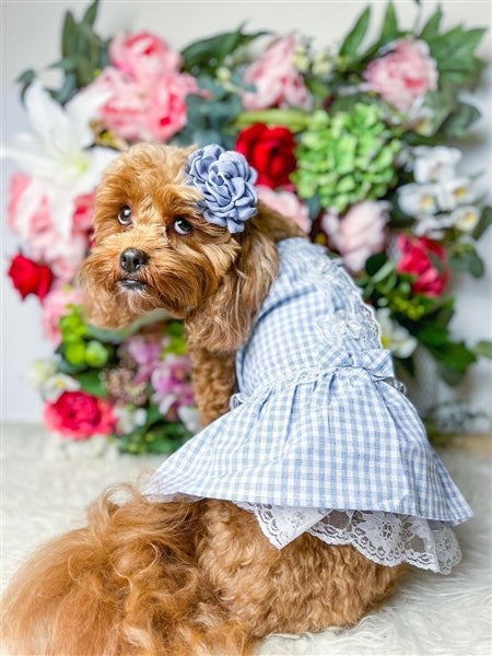 Parisian Pet Gingham Countryside Lace Dress Dog & Cat Shirt  Stylish Blue Plaid Dress  Blue