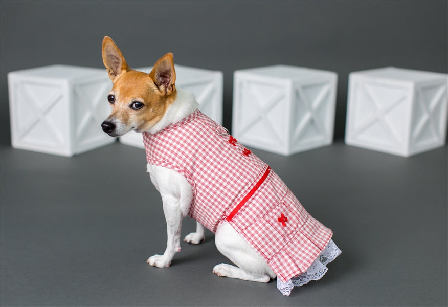 Parisian Pet Gingham Countryside Dress Dog & Cat Shirt  Elegant Country Style Dog Dress Red- Valentines Day