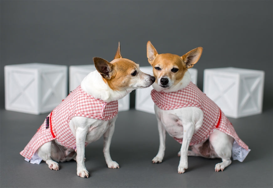 Parisian Pet Gingham Countryside Dress Dog T-Shirt-Red