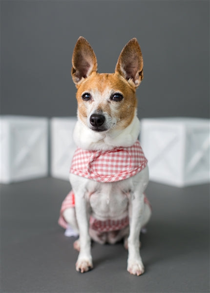 Parisian Pet Gingham Countryside Dress Dog T-Shirt-Red