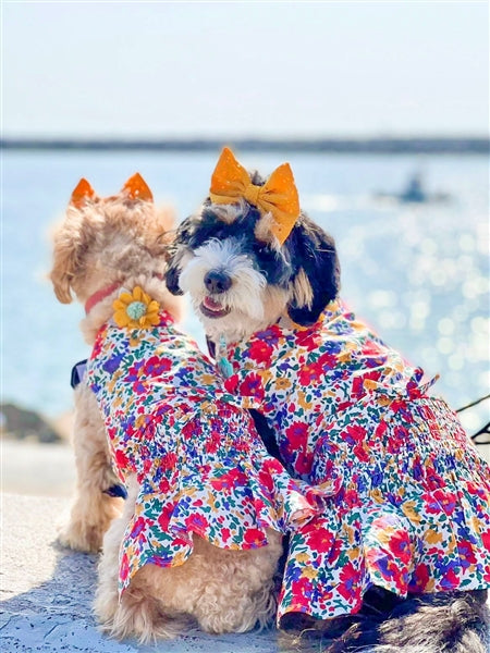 Parisian Pet Floral Artsy Dress Dog T-Shirt-Red, Yellow, Blue, White