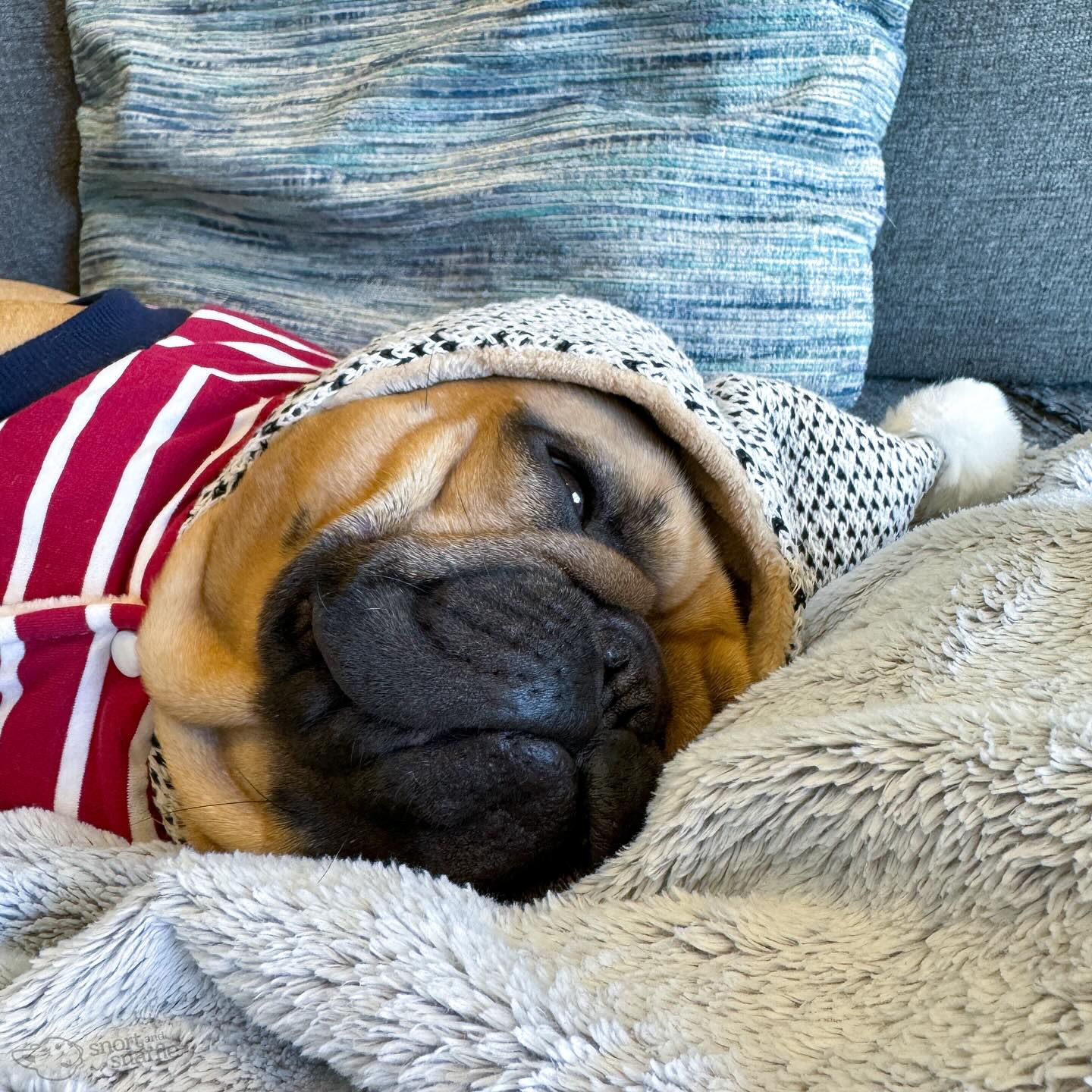 Parisian Pet Striped Pom Pom Hoodie, Red  Soft & Fashionable Pet Hoodie with Playful Pom Pom Design