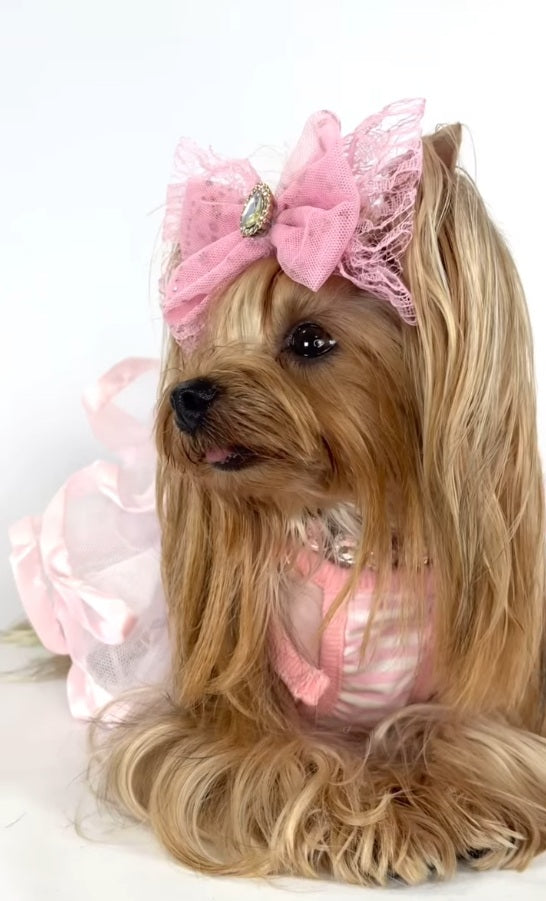 Parisian Pet Ballerina Dress Dog & Cat Shirt  Unique Floral Pet Dress, Perfect for Summer - Pink and White Stripes-Valentines Day