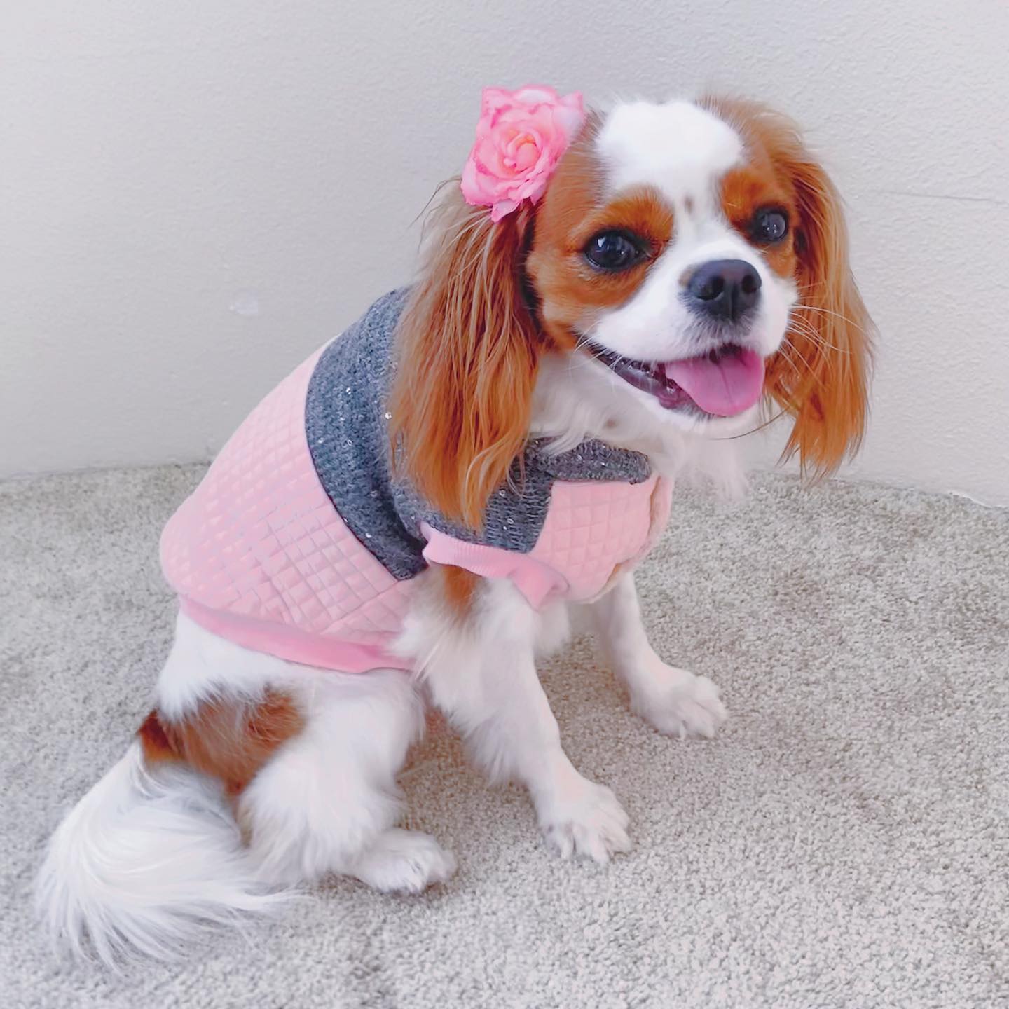 Parisian Pet Fancy Flower Quilted Jacket