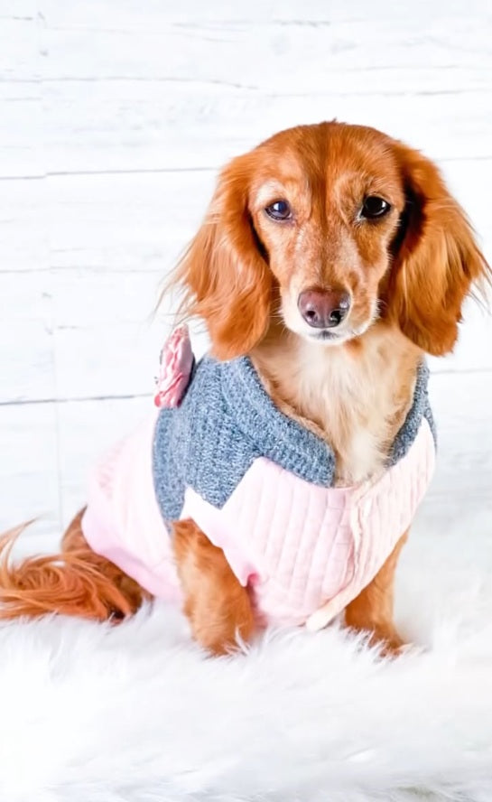 Parisian Pet Fancy Flower Quilted Jacket