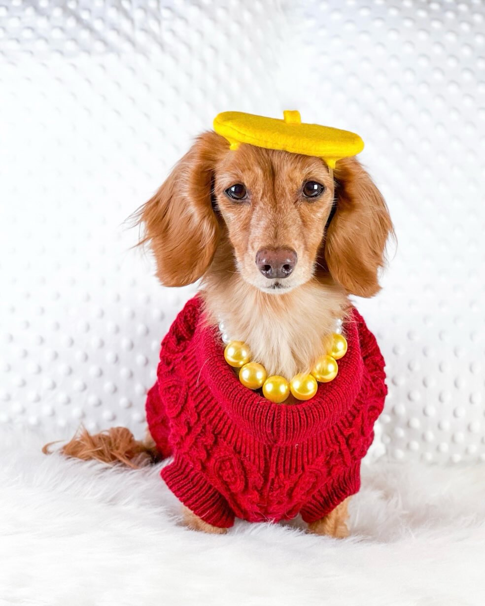 Parisian Pet Cable Knit Sweater-Red
