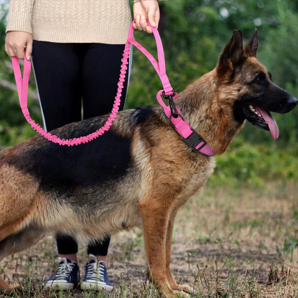 The Tactical Luxe Collar & Leash