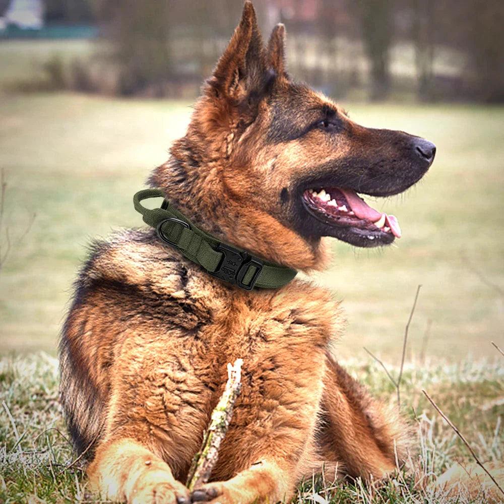 The Tactical Luxe Collar & Leash