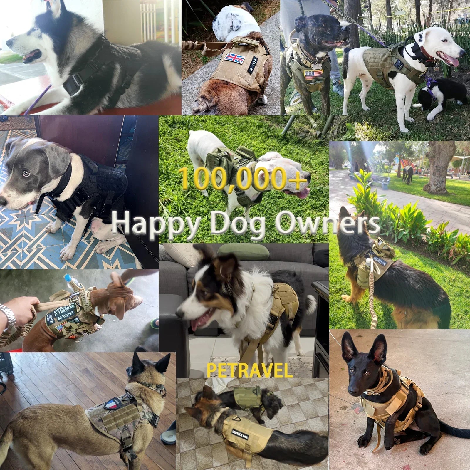 Ultimate Explorer Tactical Dog Harness & Leash Set