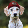 NFL San Francisco 49ers Dog Hat