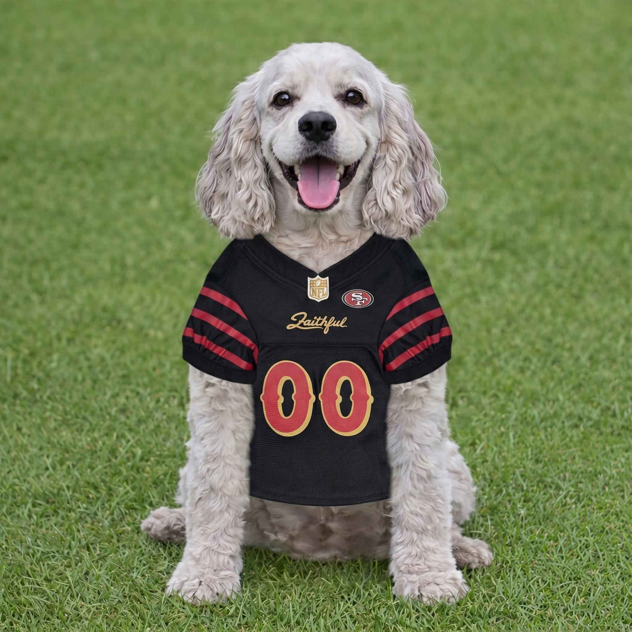 NFL San Francisco 49ers Rivalry Pet Jersey