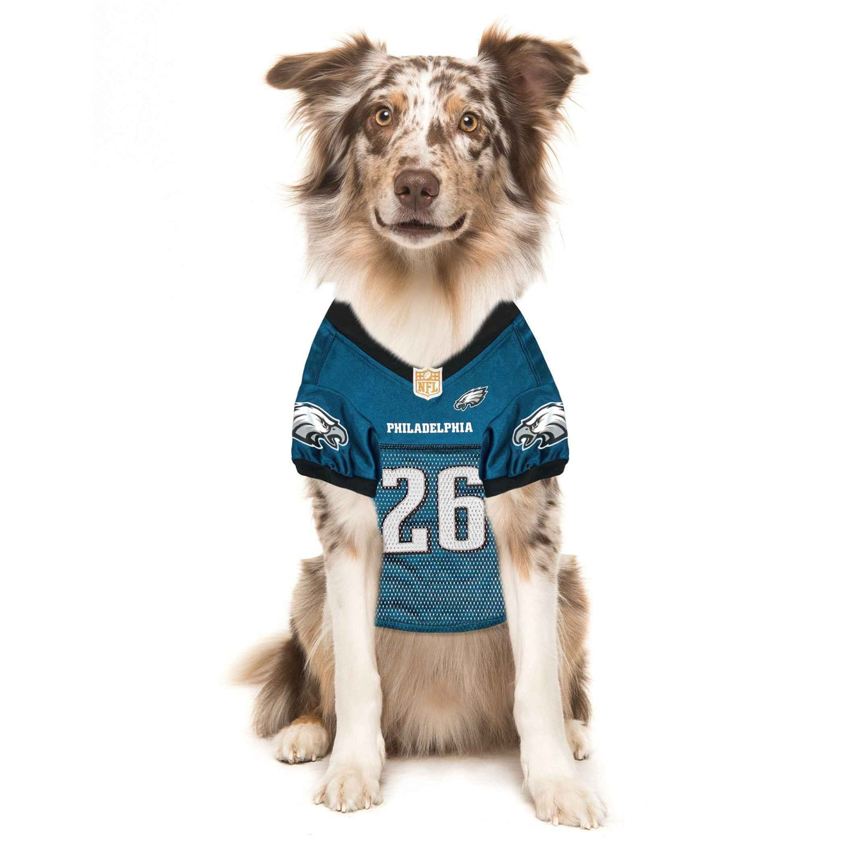 NFL Philadelphia Eagles Saquon Barkley Mesh Pet Jersey