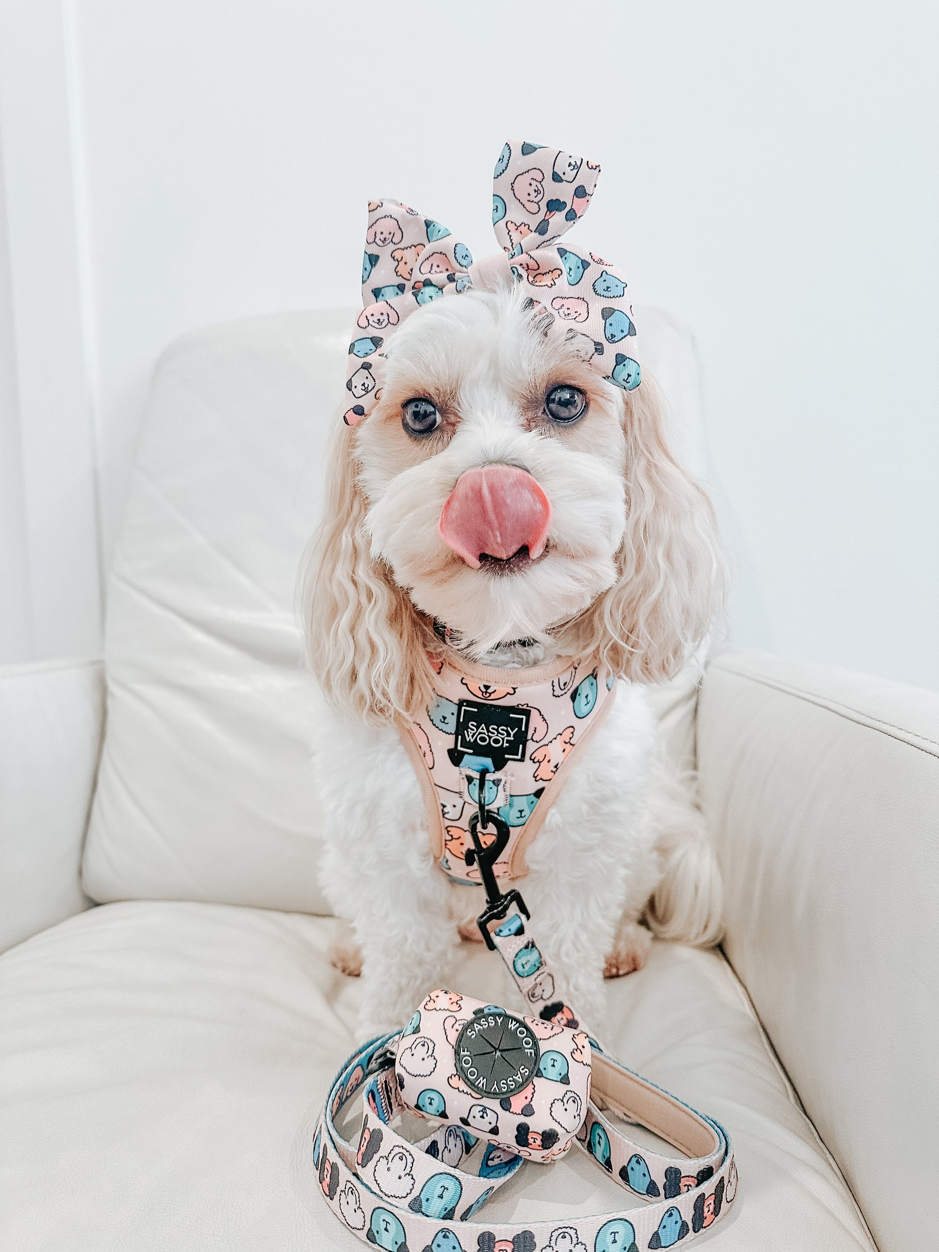 Dog Adjustable Harness - Mixed With Love