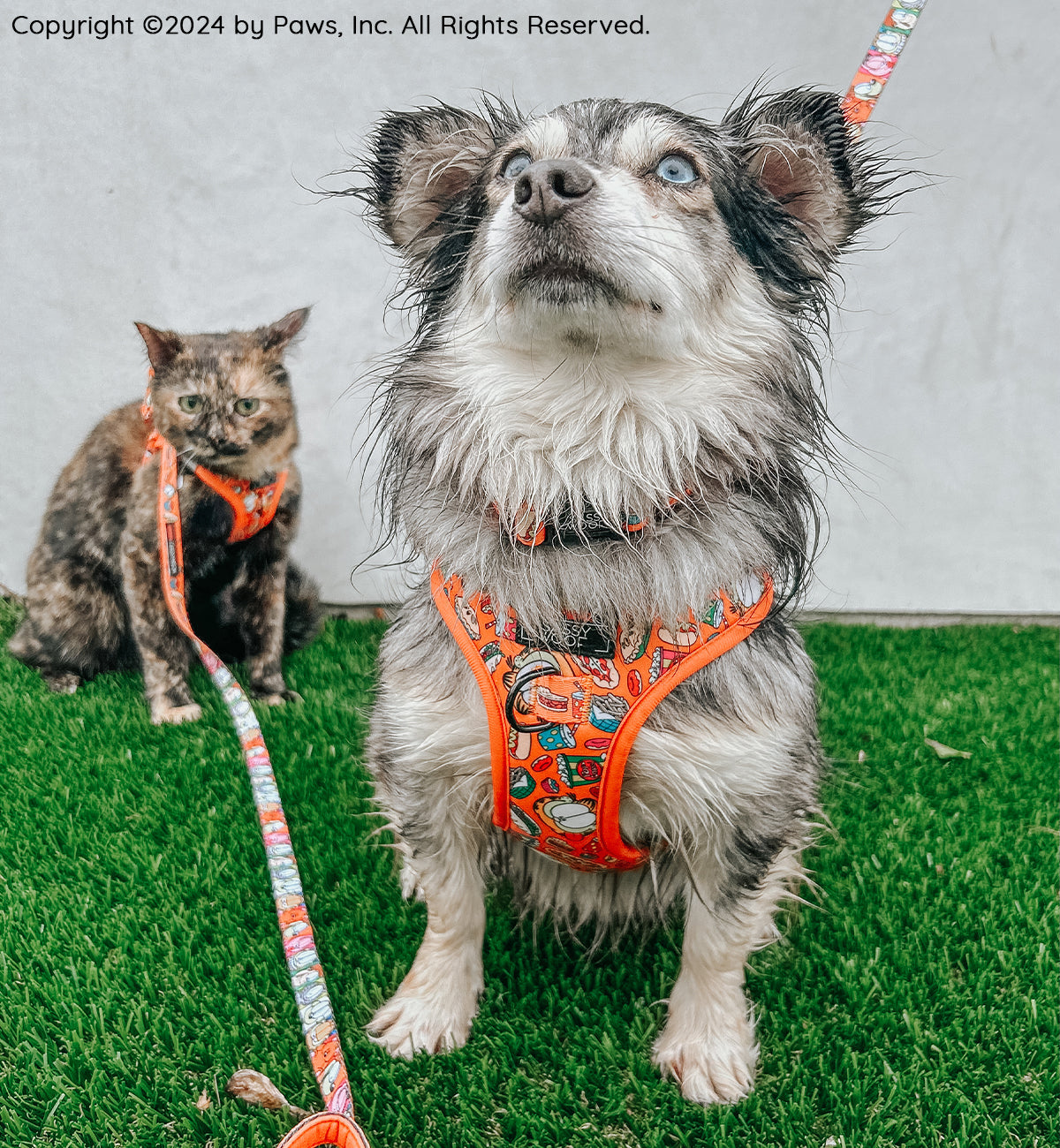 Cat Leash - Garfield™