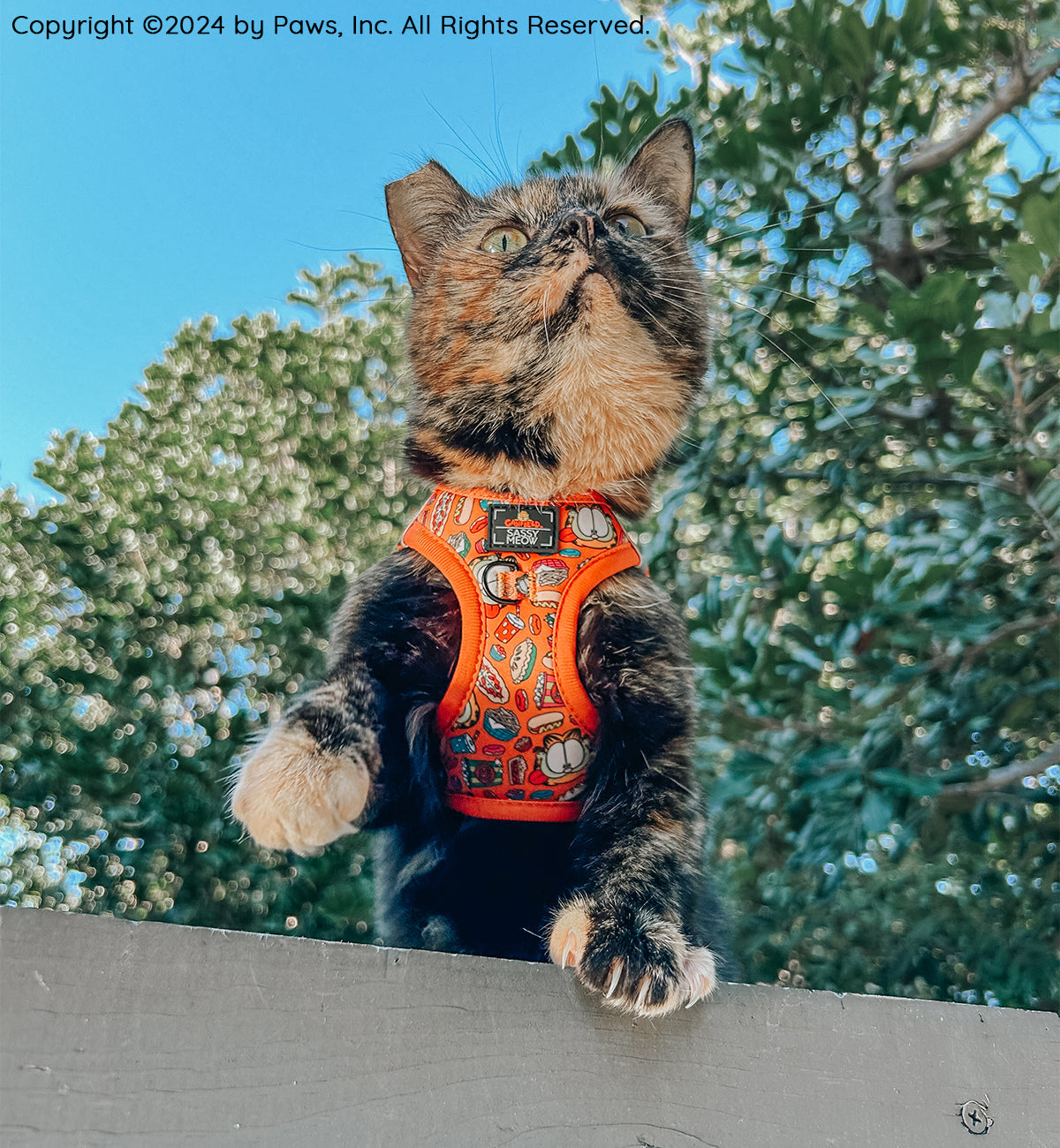 Cat Step-In Harness - Garfield™️