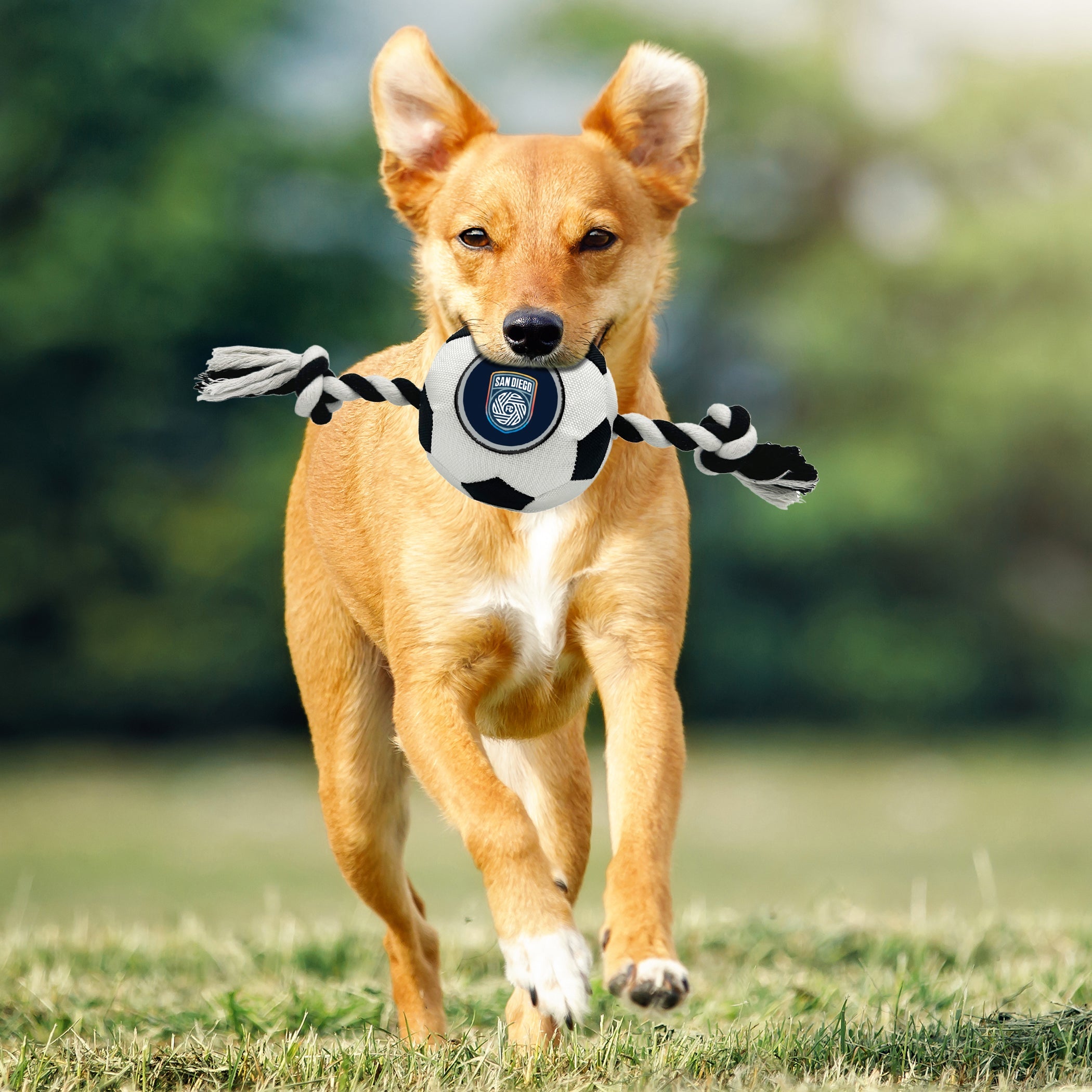 San Diego FC Soccer Ball Rope Toy