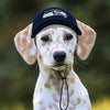 NFL Seattle Seahawks Dog Hat