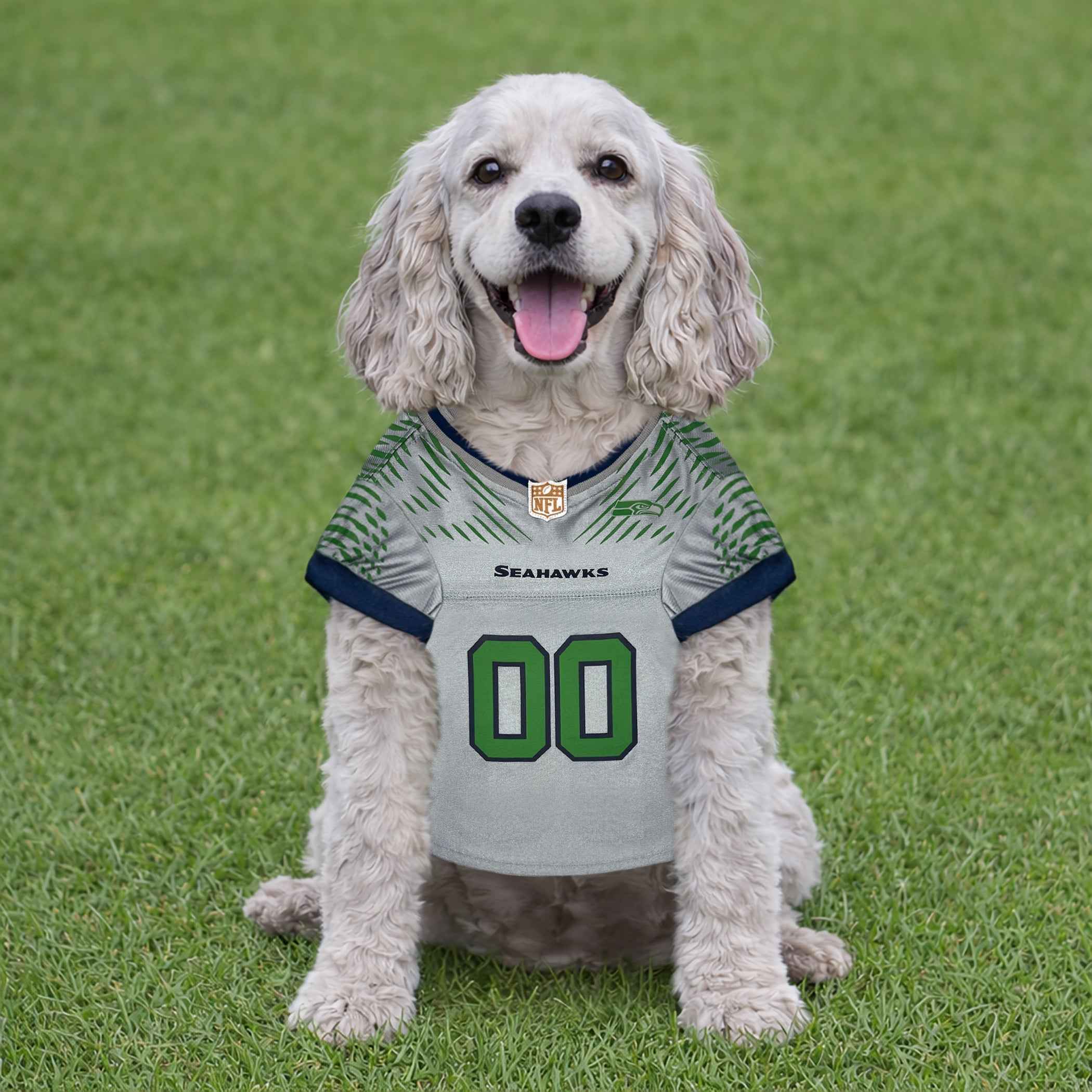 NFL Seattle Seahawks Rivalry Pet Jersey