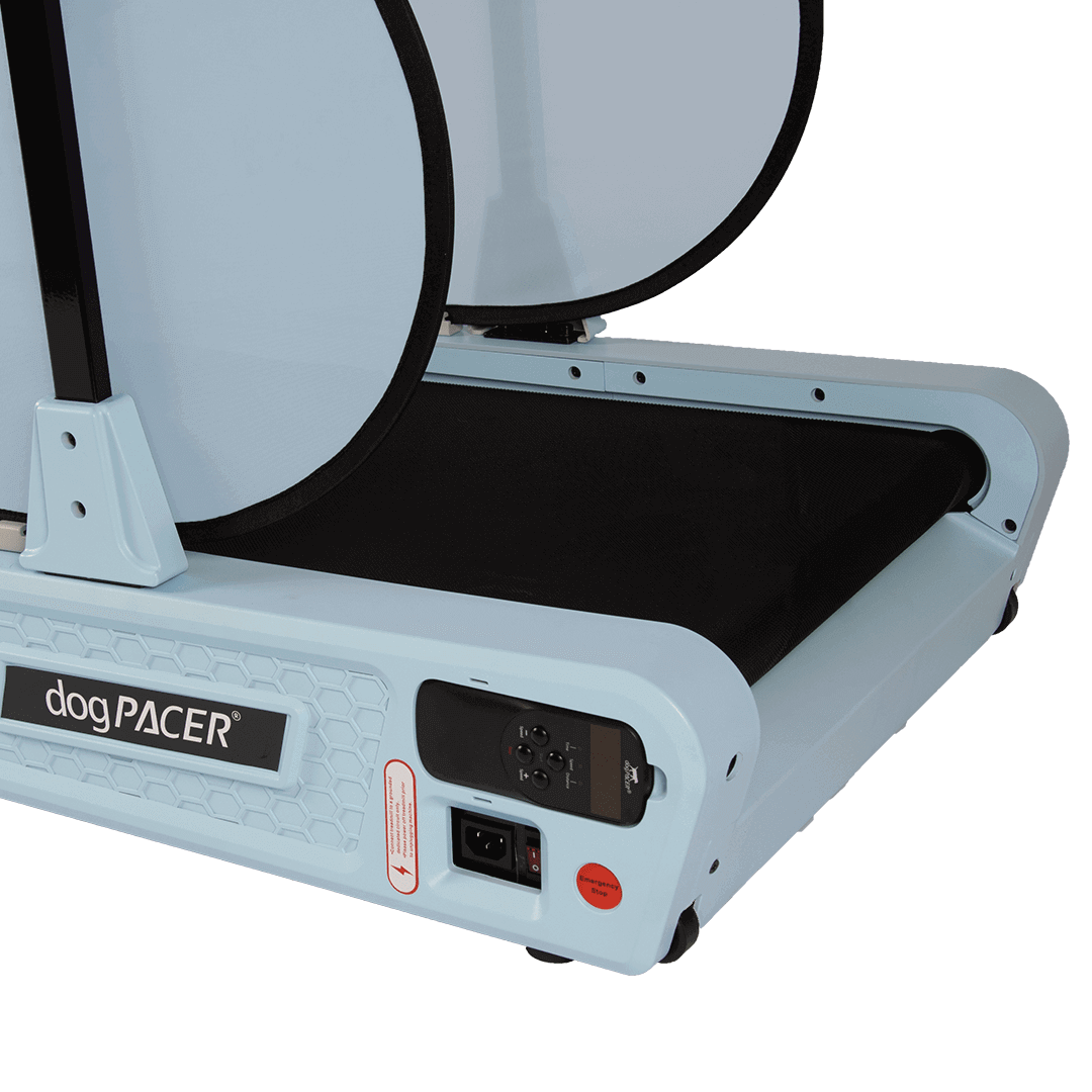 DogPACER SE- Dusty Rose