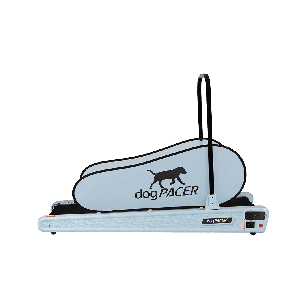 DogPACER SE- Dusty Rose