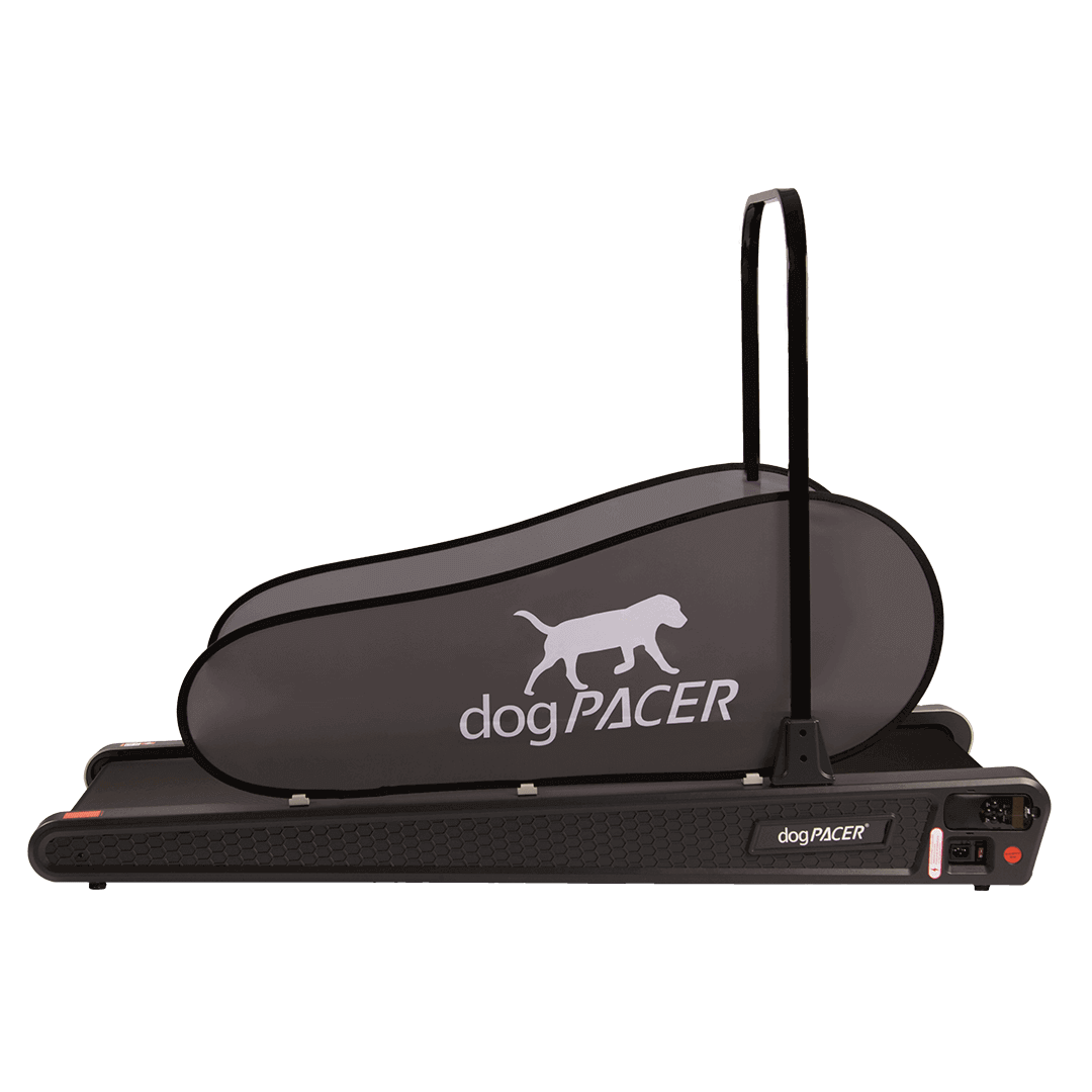 DogPACER SE- Dusty Rose