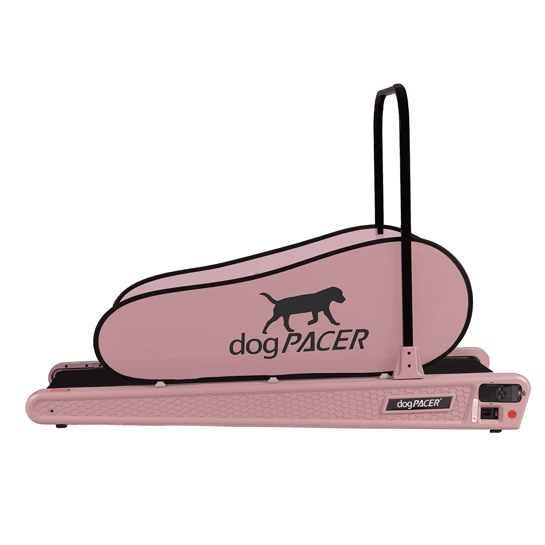 DogPACER SE- Dusty Rose