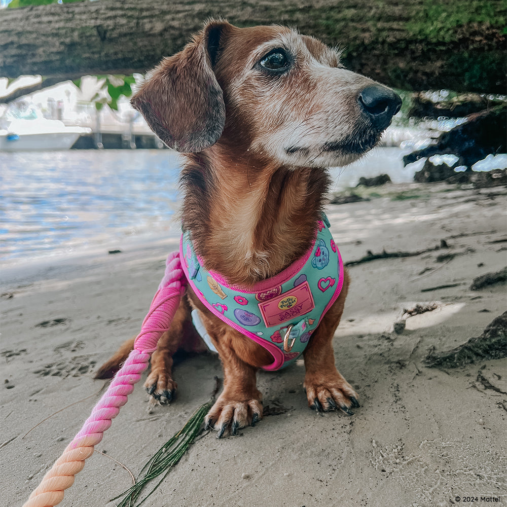 Dog Adjustable Harness - Polly Pocket™